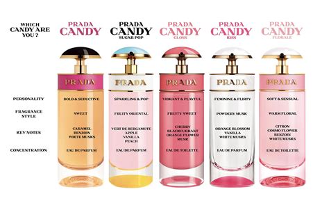 prada can dy fragrantica